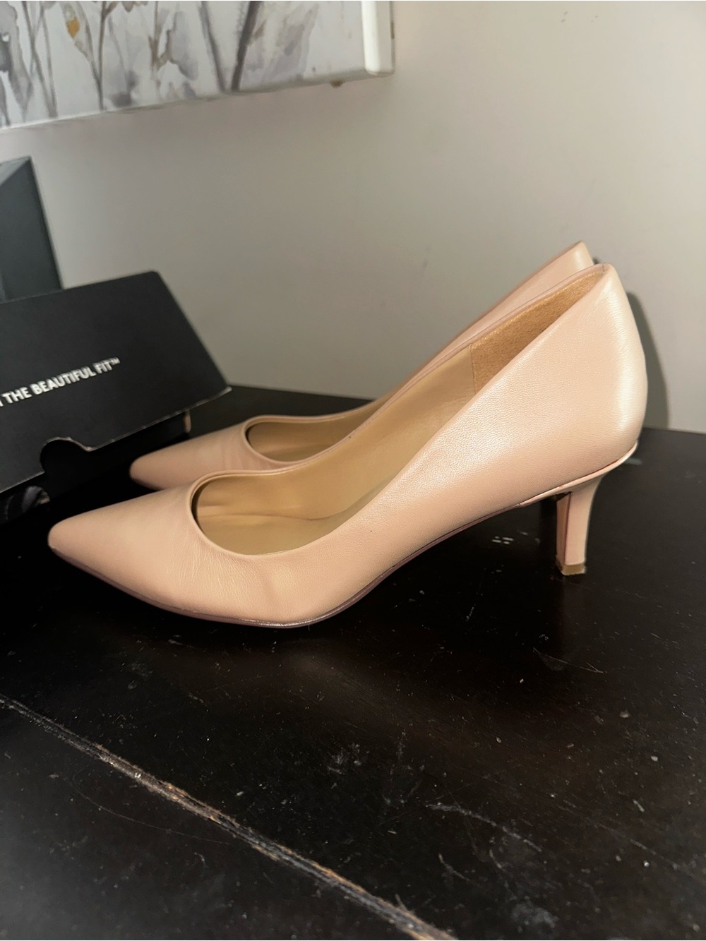 Naturalizer Blush Nude Pointed-Toe Kitten Heels